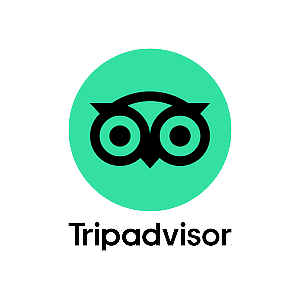 logo tripadvisor ses casetes