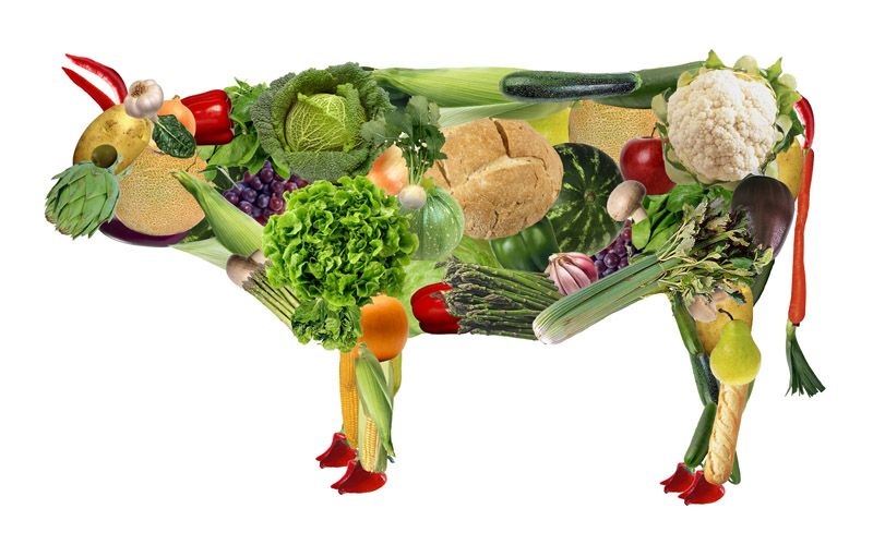 Vaca hecha de vegetales